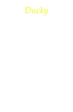 Ducky I arrived at Dream Riders in June of 2024. I was born on April 8, 2019 and am actually a twin. My brother and I were both healthy little colts and developed into cute little geldings. I consider myself a quarter horse pony standing at 13.2 hands tall and am excited to come alongside the veterans of the Dream Team to carry their smaller riders. I have been a grooming and brushing horse for the students while I continue to learn how to ride balanced and steady. I am excited to fill Malchi’s place when he is ready to retire. I know I have some big shoes to fill!