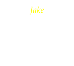 Jake I arrived at Dream Riders in July of 2025. I was born in 2010. I am a spotted saddle horse with a smooth rack. I’m excited to become part of the Dream Team and share my wonderful qualities.